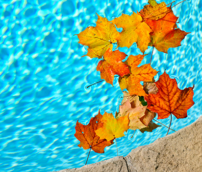 The pool leaf collector is cordless skimming for top-side and bottom dwelling leaves